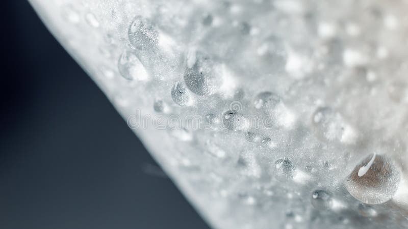 o Οι μεγάλες όμορφες πτώσεις νερού στην άσπρη ορχιδέα ανθίζουν τη μακροεντολή Μακρο άποψη της αφηρημένων σύστασης και του υποβάθρ στοκ φωτογραφία με δικαίωμα ελεύθερης χρήσης o Οι μεγάλες όμορφες πτώσεις νερού στην άσπρη ορχιδέα ανθίζουν τη μακροεντολή Μακρο άποψη της αφηρημένων σύστασης και του υποβάθρ στοκ φωτογραφία με δικαίωμα ελεύθερης χρήσης