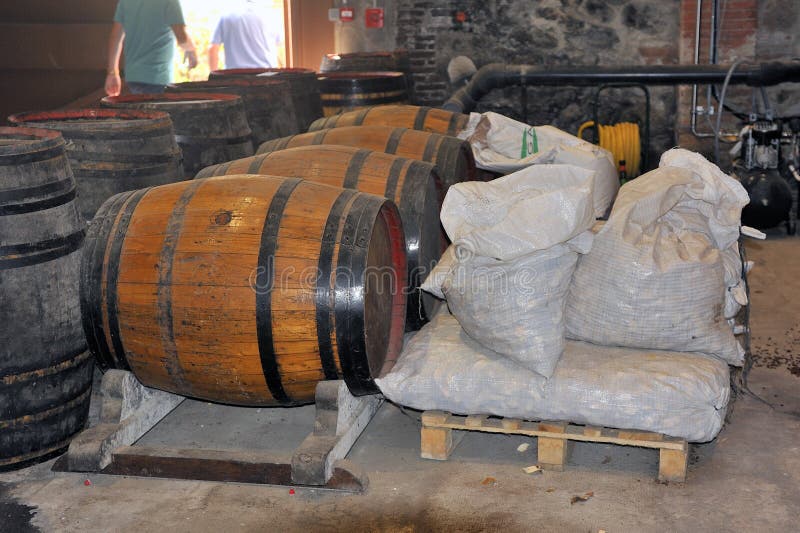 Oak Barrels in the Wine Cellar Stock Photo Image of wine, unique