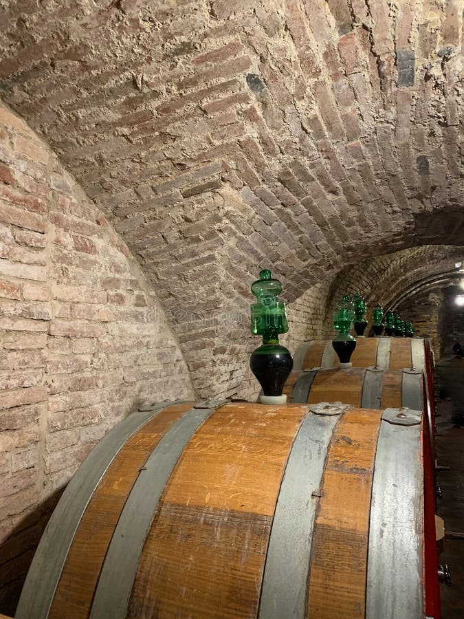 Oak Barrels in an Old Underground Wine Cellar Stock Image Image of