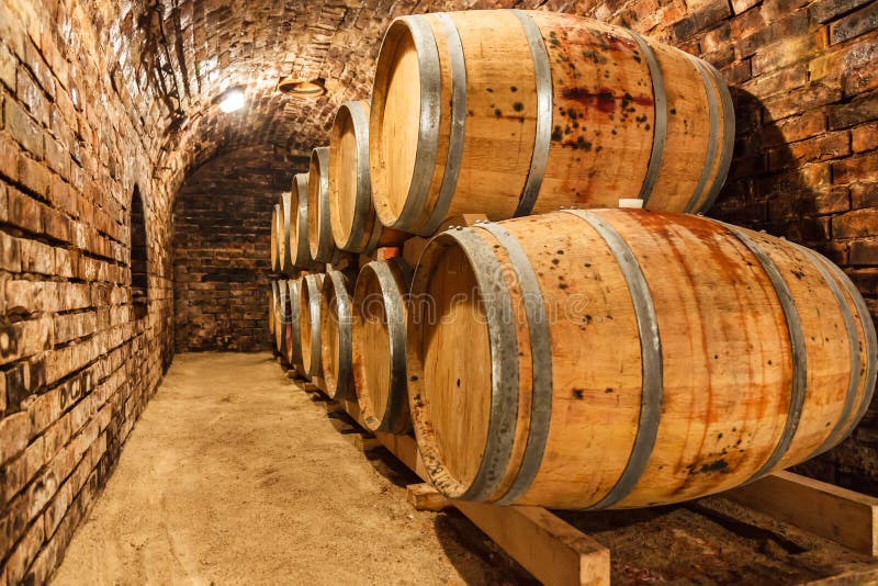 Oak Barrels In A Underground Wine Cellar Stock Photo Image of aging