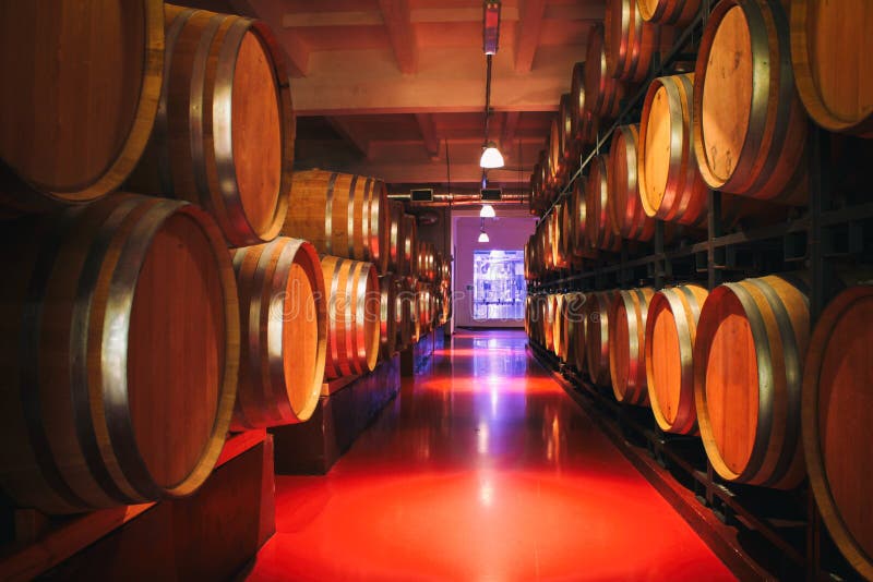 Oak barrels with wine in dark cellar. Modern production of wine with the observance of age-old traditions.