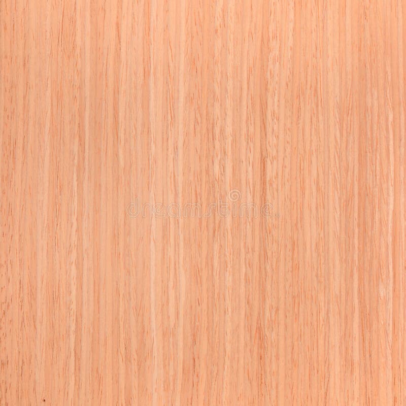 Texture oak, wood veneer stock photo. Image of element 35402318
