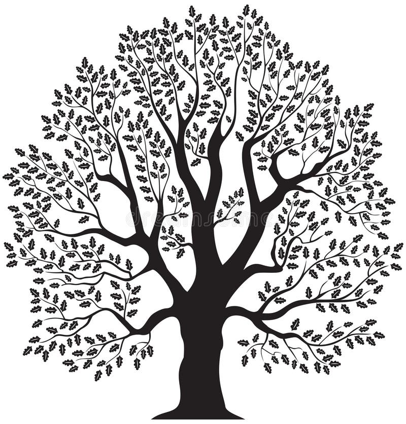 Oak Tree Stock Illustrations – 106,195 Oak Tree Stock Illustrations ...