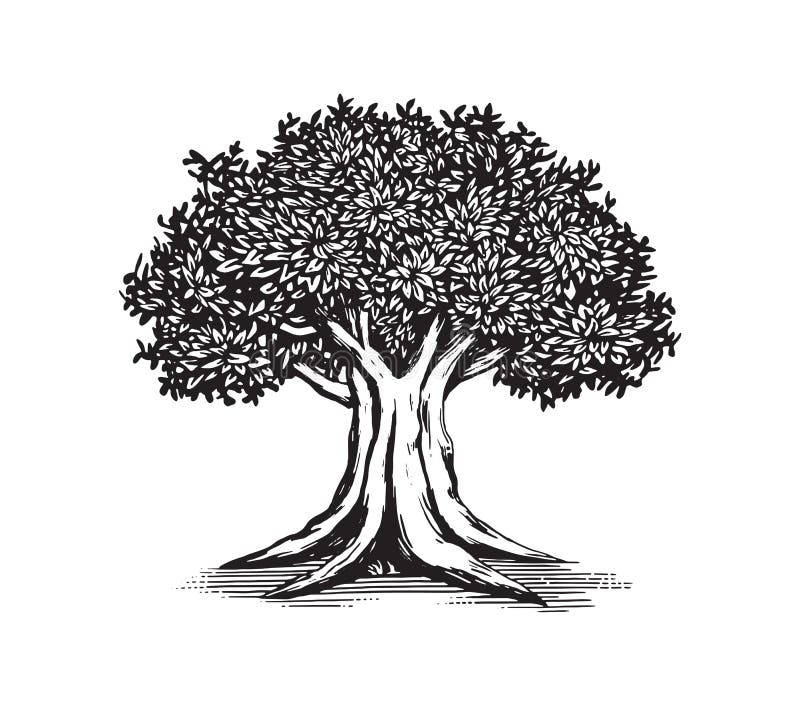 Tree Illustration Stock Illustrations – 2,259,480 Tree