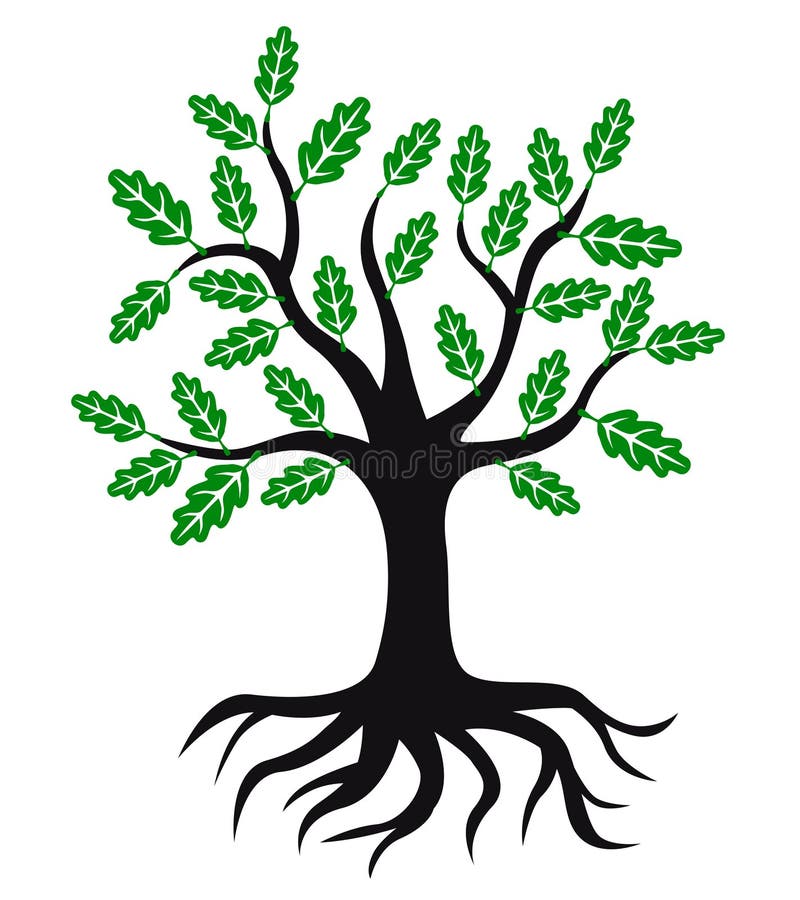 Oak Tree Icon With Green Leaves And Roots Stock Vector ...