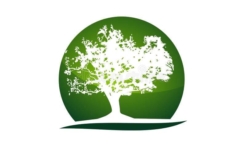 Oak Tree Logo Design Template Stock Vector - Illustration of ecology