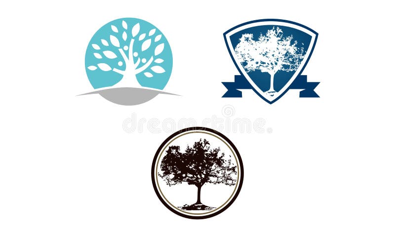 Oak Tree Template Set Stock Vector Illustration Of Environment 115265531