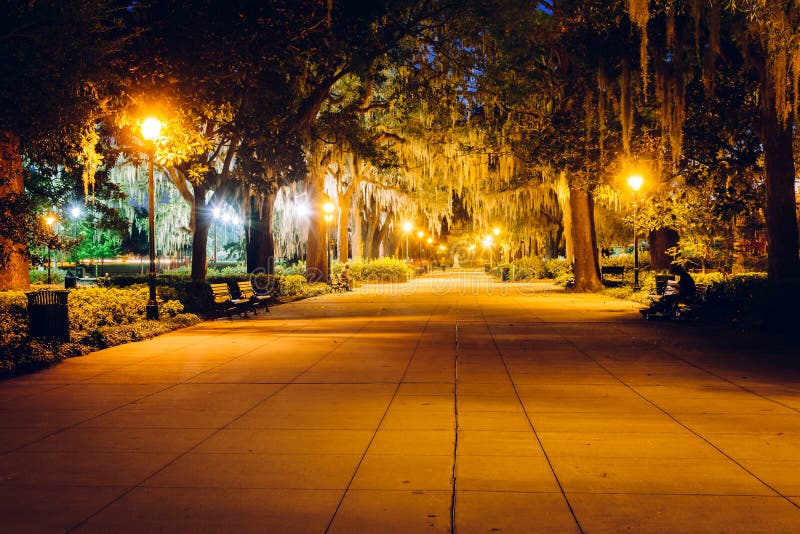 Oak Trees and Path at Night in Forsyth Park, Savannah, Stock
