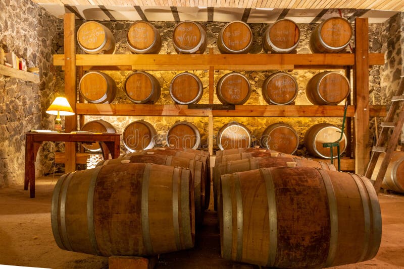 Oak Wine Barrels in Basement of Winery Stock Image Image of basement