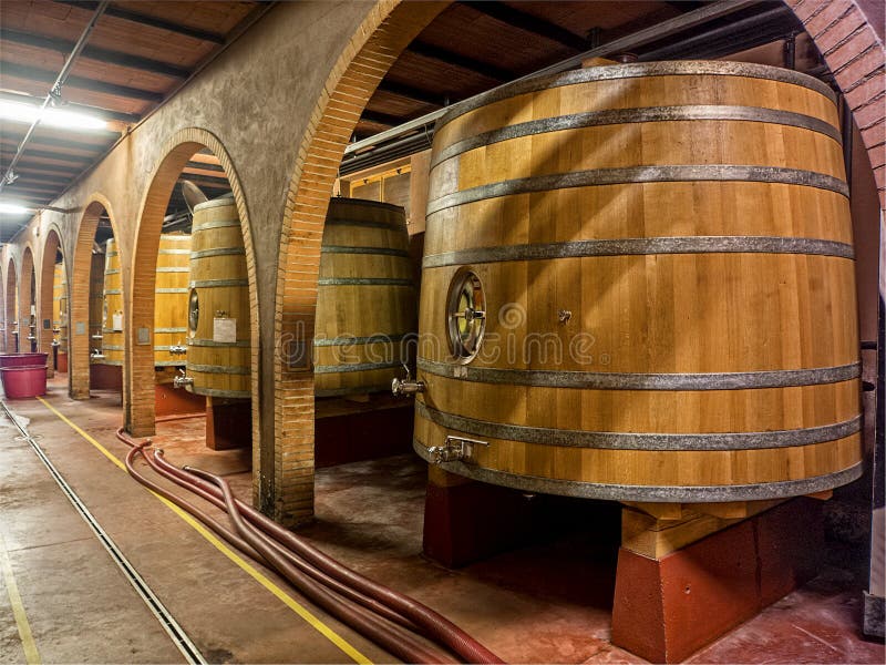 Oak wine barrels stock image. Image of rows, vino, cask 35551733