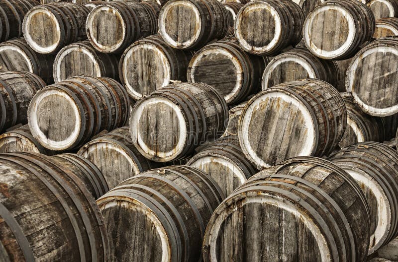 Oak wine casks stock photo. Image of barrel, wine, fermentation 29272722