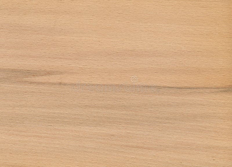 Oak wood texture