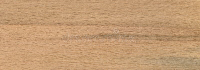 Oak wood texture