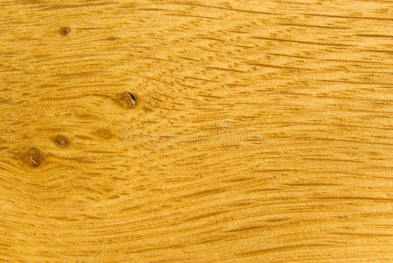 Oak wood texture