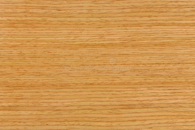 oak wood texture oak wood texture