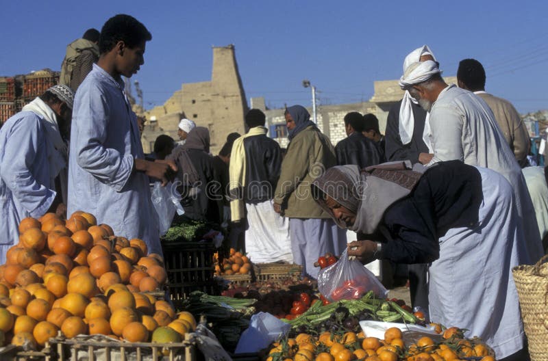 OASE AFRIKAS ÄGYPTEN SAHARA SIWA lizenzfreie stockfotos OASE AFRIKAS ÄGYPTEN SAHARA SIWA lizenzfreie stockfotos