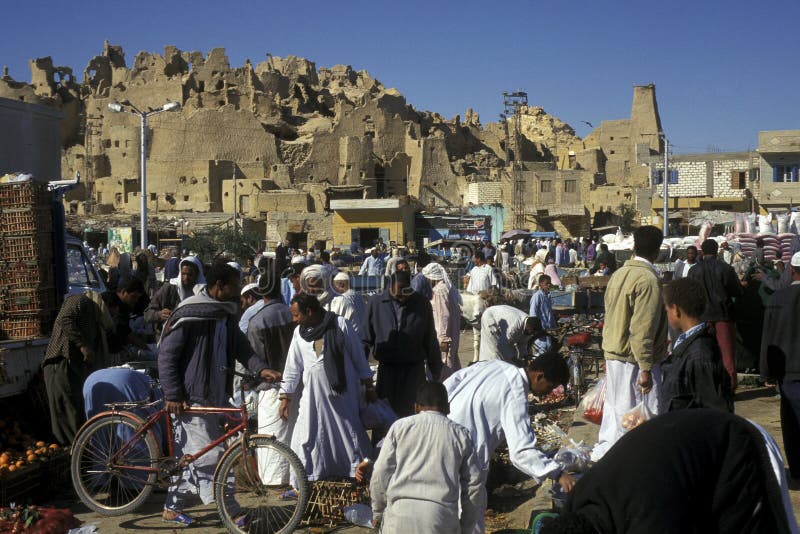 OASI DELL'AFRICA EGITTO SAHARA SIWA fotografia stock libera da diritti OASI DELL'AFRICA EGITTO SAHARA SIWA fotografia stock libera da diritti