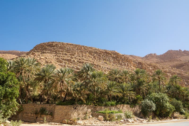 Oasis avec des paumes au milieu du désert rocheux image libre de droits Oasis avec des paumes au milieu du désert rocheux image libre de droits