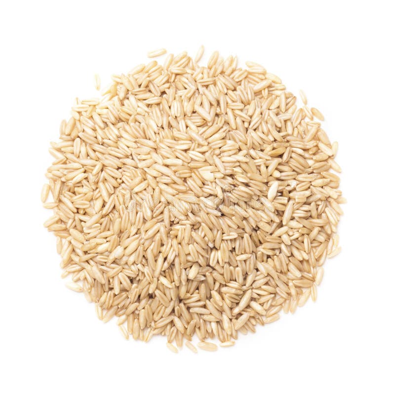 Oat Kernel Isolated on White by Top View Stock Image Image of dried