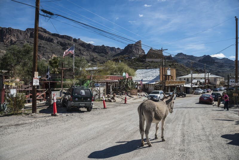 Oatman is a village in the Black Mountains of Mohave County, Arizona, located at an elevation of 2,710 feet 830 m. It began as a small mining camp when two prospectors struck a $10 million gold find in 1915, though the vicinity had already been settled for a number of years. Oatman is a village in the Black Mountains of Mohave County, Arizona, located at an elevation of 2,710 feet 830 m. It began as a small mining camp when two prospectors struck a $10 million gold find in 1915, though the vicinity had already been settled for a number of years