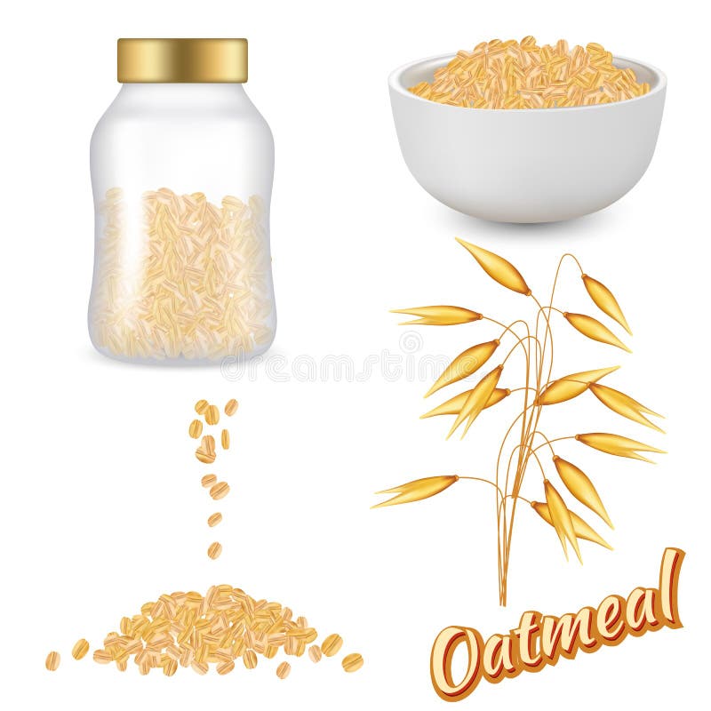 Oatmeal set vector realistic illustration royalty free illustration Oatmeal set vector realistic illustration royalty free illustration