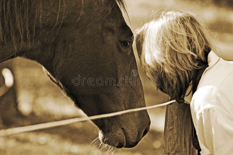 Obbligazione vicina fra la donna ed il cavallo immagine stock libera da diritti Obbligazione vicina fra la donna ed il cavallo immagine stock libera da diritti