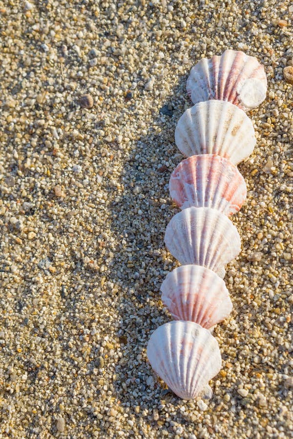 Oberteile vereinbart in der Linie auf dem Sand lizenzfreies stockbild Oberteile vereinbart in der Linie auf dem Sand lizenzfreies stockbild