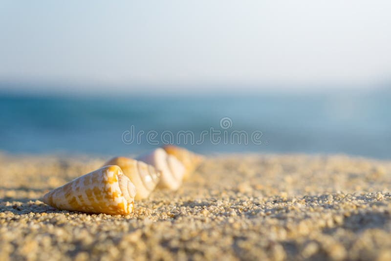 Oberteile vereinbart in der Linie auf Sand am Strand Blaues Meer auf Hintergrund lizenzfreies stockfoto Oberteile vereinbart in der Linie auf Sand am Strand Blaues Meer auf Hintergrund lizenzfreies stockfoto