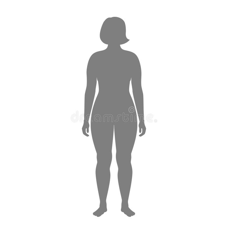 Female body silhouette Royalty Free Vector Image