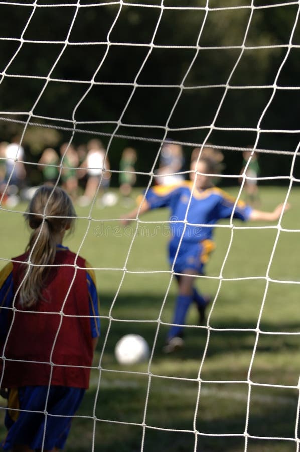 Si segna un gol di calcio immagine stock libera da diritti