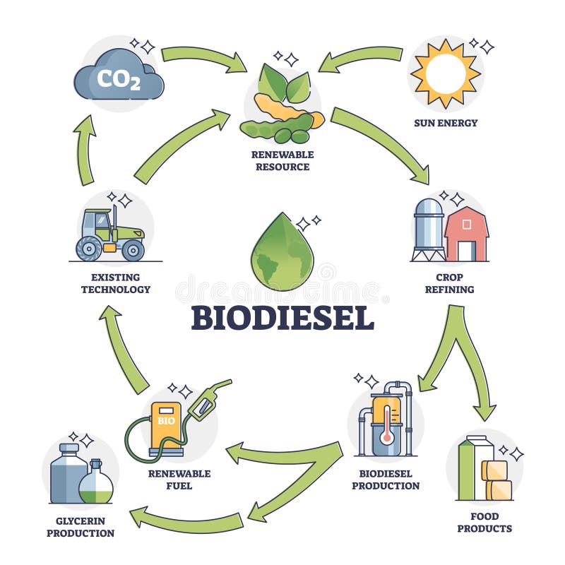 Biodiesel fuel life cycle explanation with all usage stages outline diagram. Labeled educational renewable ecological gas production using crop refining vector illustration. Green alternative energy. Biodiesel fuel life cycle explanation with all usage stages outline diagram. Labeled educational renewable ecological gas production using crop refining vector illustration. Green alternative energy.