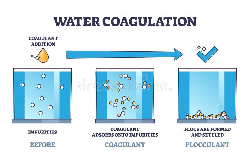 Water coagulation process explanation for treatment outline diagram. Labeled educational wastewater purification and disinfection steps vector illustration. Sewage coagulant and flocculant addition. Water coagulation process explanation for treatment outline diagram. Labeled educational wastewater purification and disinfection steps vector illustration. Sewage coagulant and flocculant addition.