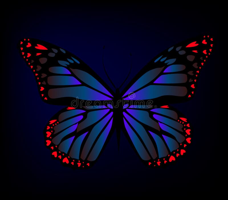 The Object is a Dark Blue Butterfly on a Dark Background. Vector  Illustration Stock Vector - Illustration of black, pattern: 243577035