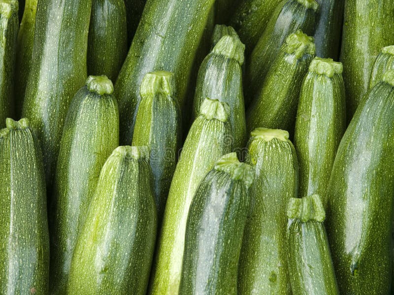 Objects - Cucumber Background. Cucumber background featuring organic at a local Farmers Market.