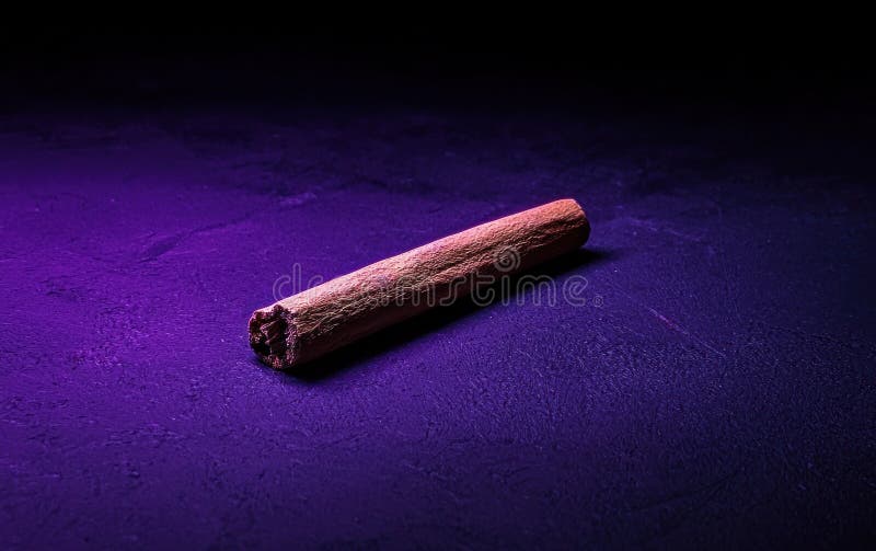 Objet cylindrique brun sur surface texturée violet foncé illustration de vecteur
