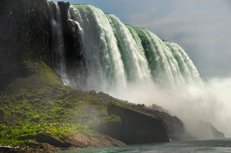 Close view to the Niagara falls. Very numerous gulls are visible, landed on the ground near the water. Close view to the Niagara falls. Very numerous gulls are visible, landed on the ground near the water.