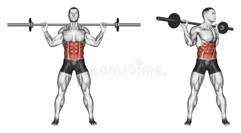 _ Obraca półpostać z barbell ilustracja wektor _ Obraca półpostać z barbell ilustracja wektor