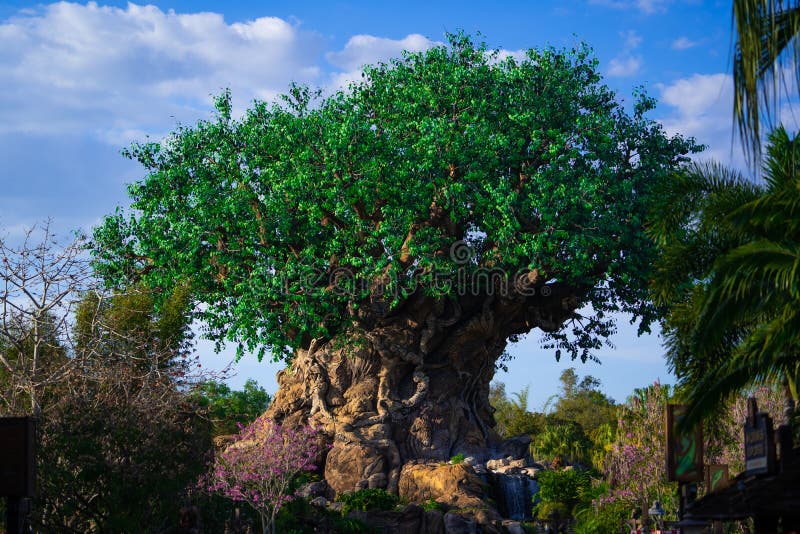 Obraz drzewa życia w magicznym królestwie. świat walt disney fotografia stock