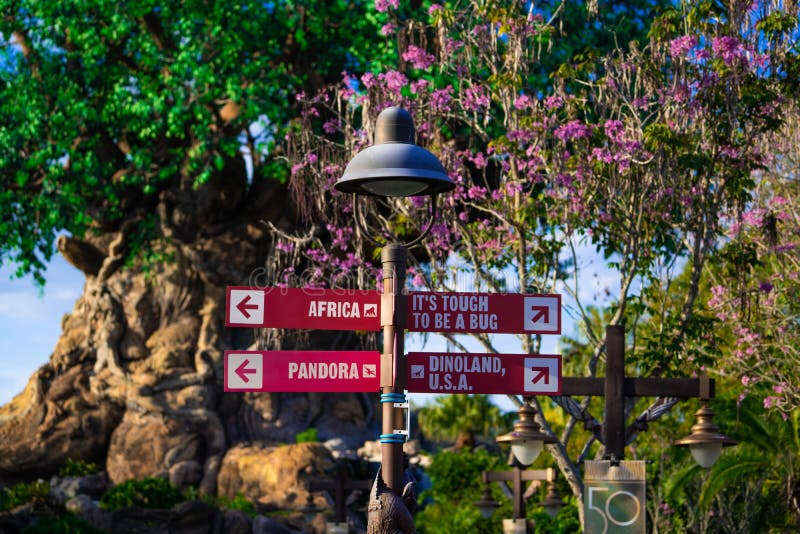 Obraz drzewa życia w magicznym królestwie. świat walt disney zdjęcie stock