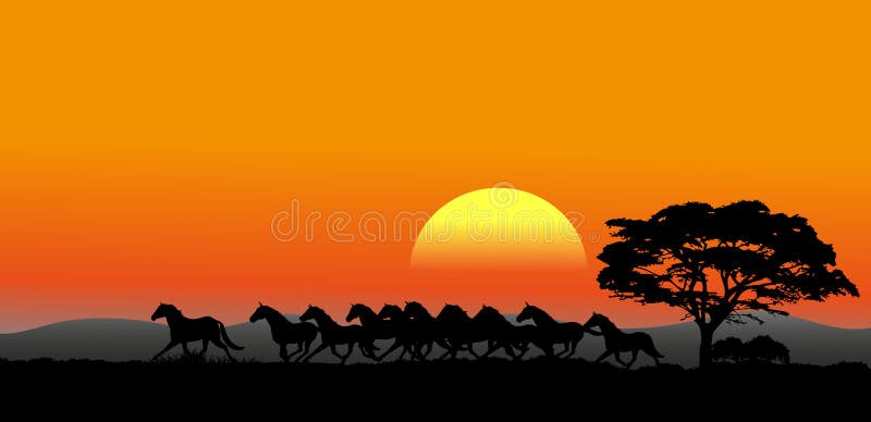 The pictures show a running herd at sunset. The pictures show a running herd at sunset