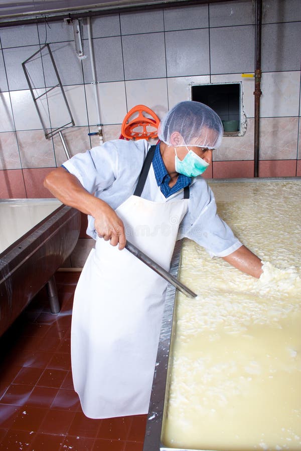 Obrero del queso que controla la fermentación imagenes de archivo Obrero del queso que controla la fermentación imagenes de archivo