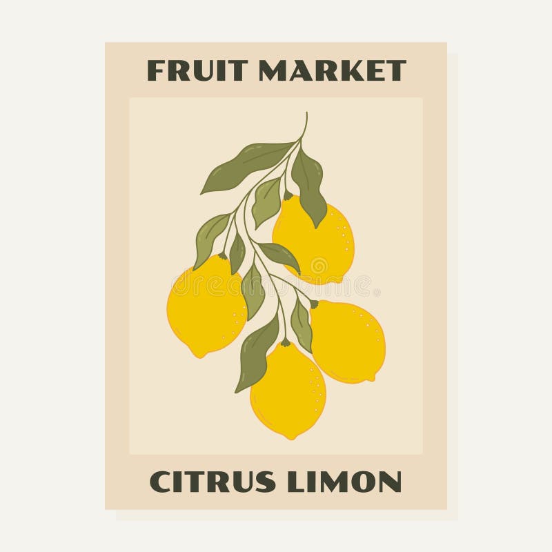 Obst Market Lemons Branch Poster Design in Retro Style. Moderne Kunst druckt Zitrusfrüchte trendiges Poster mit Zitrone vektor abbildung