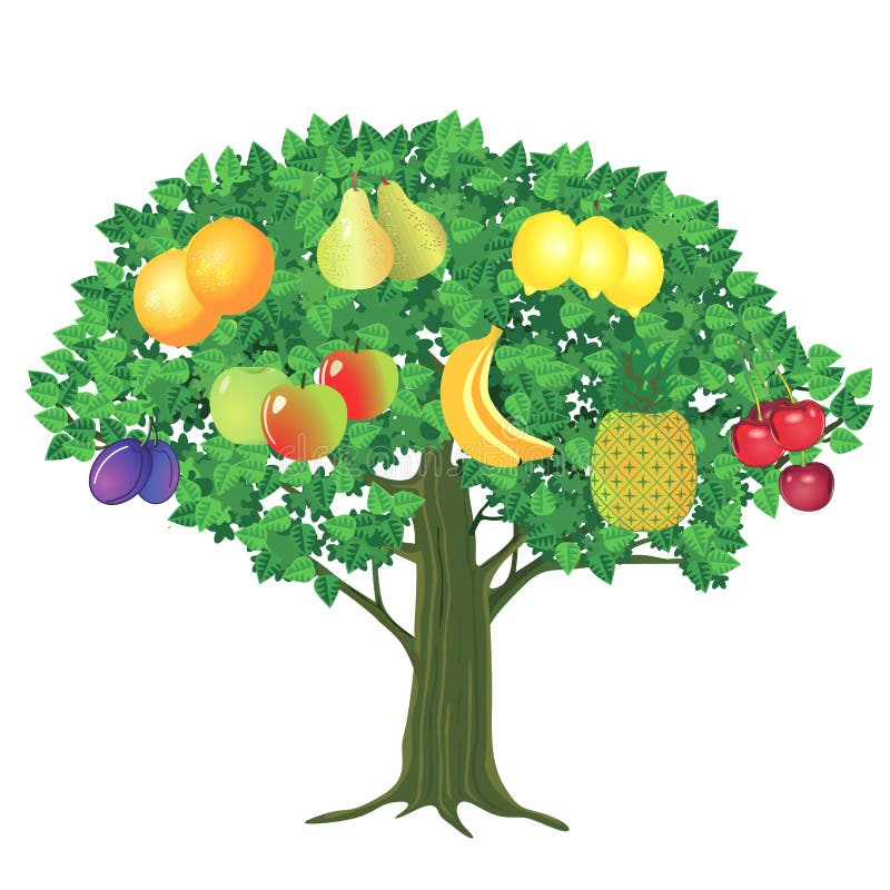  Obstbaum stock abbildung