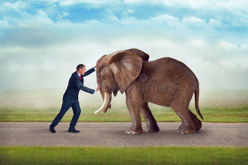 Obstáculo do elefante do desafio do negócio fotos de stock royalty free Obstáculo do elefante do desafio do negócio fotos de stock royalty free