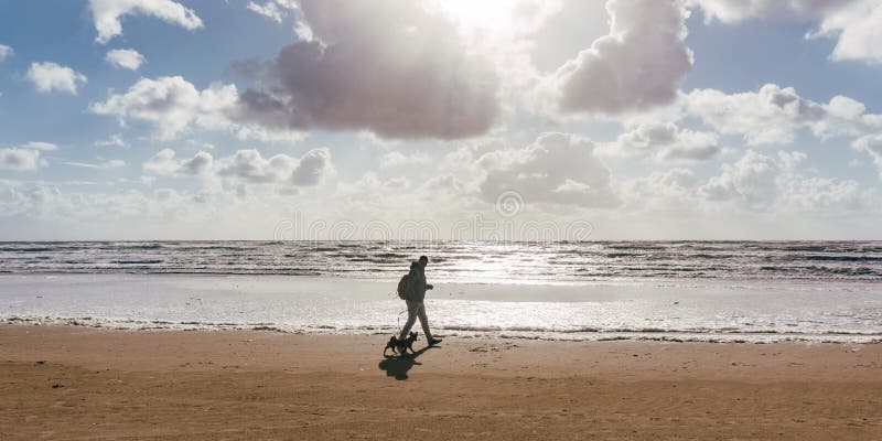 Obsługuje przy plażą przy zmierzchem lub wschód słońca i jego psa odprowadzenie obraz royalty free Obsługuje przy plażą przy zmierzchem lub wschód słońca i jego psa odprowadzenie obraz royalty free
