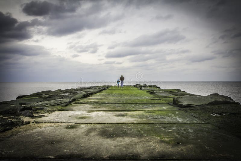 Oceaanbosjepier stock afbeelding Oceaanbosjepier stock afbeelding