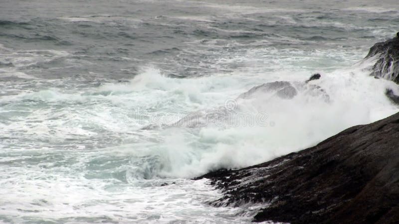 Oceaangolven die de Langzame Motie van Lava Rock Shore Depoe Bay raken Oregon