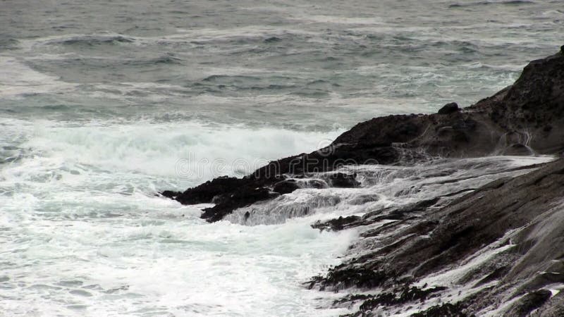 Oceaangolven die Lava Rock Shore Depoe Bay Oregon raken