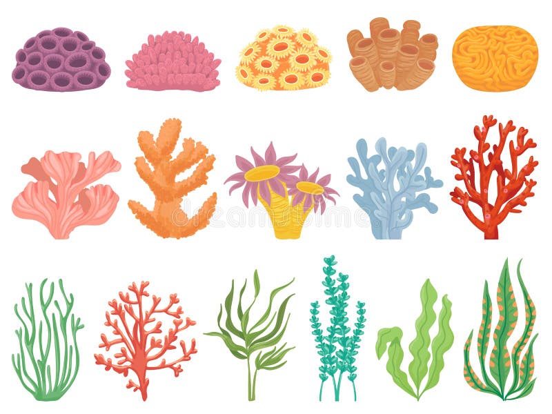 Oceaankoraal. zeewier en zeeplantensoorten. onderwaterrifflororaalkoralen en algenvectorcartoon