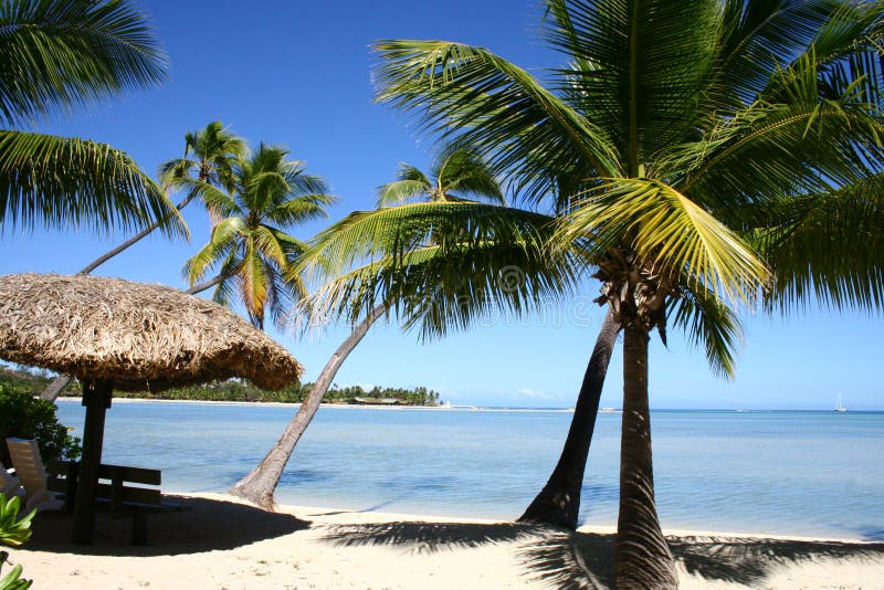 By the ocean, Fiji